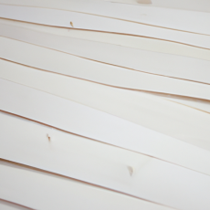 Construction & Real Estate | Timber Canadian Birch 1.5 mm Plywood